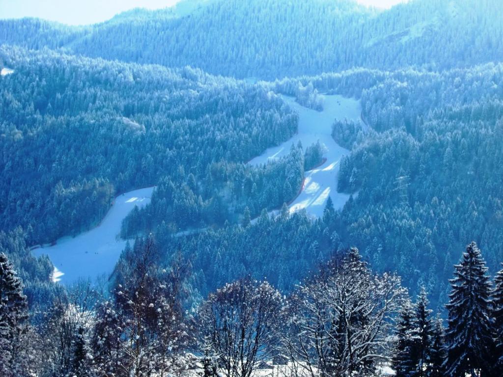 Готель Grainauer Hof Екстер'єр фото